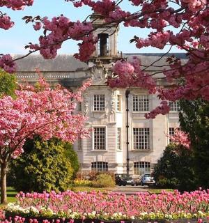 a large building with pink flowers in front of it