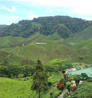 a view of a green hillside with a house on top