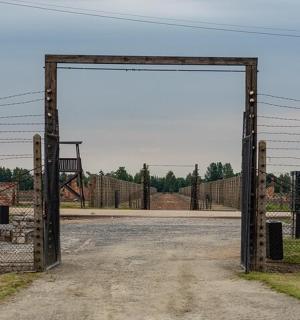 围栏区域内敞开的大门