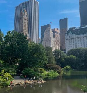 a view of a river in a city with tall buildings