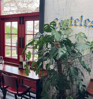 a large plant sitting next to a table in a restaurant