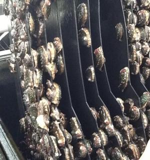 hromada úlů visících na zdi