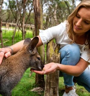 žena hladící klokana na poli
