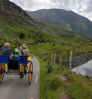 two people riding on a bike down a road