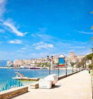 一条水边长满棕榈树的街道