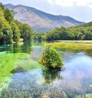 中间有一丛灌木的河流