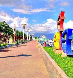 一条有篱笆和树木的小路的街道