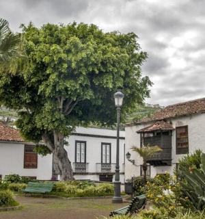 一栋白色建筑,旁边有一棵树和一盏路灯