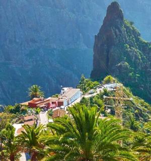 位于棕榈树丛中的山上度假村