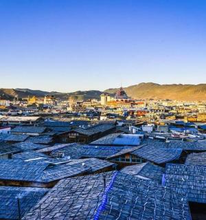 有很多蓝色屋顶的城市景观