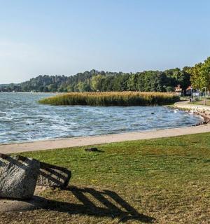 位于水边草地上的长椅