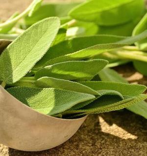 a spoon full of green leaves on a table
