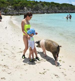 a woman and a child and a dog on a beach