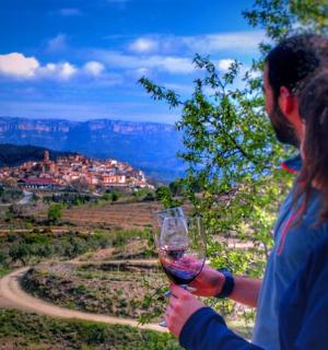 a woman holding a glass of wine looking at the view