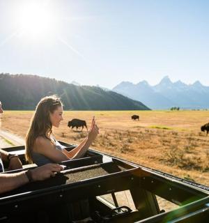 一男一女坐在吉普车里，看着田野里的大象