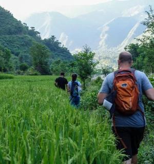 一名背着橙色背包的男子穿过田野