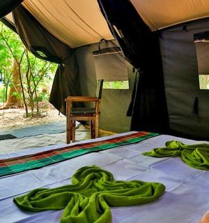 帐篷里的一张床，上面铺着绿色毛巾