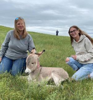 两个女人和一只小羊羔坐在田野里
