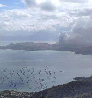 一群鸟飞过一片水域