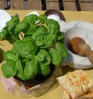 桌子上放着一碗蔬菜和一盆盆栽