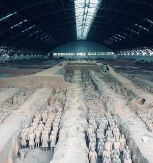 velká skupina zvířat ve velké budově