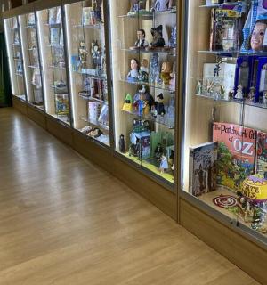 místnost plná spousty hraček a her