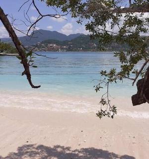 ein Blick auf einen Strand mit dem Wasser