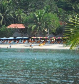 плажа са сунцобранима и људима на плажи