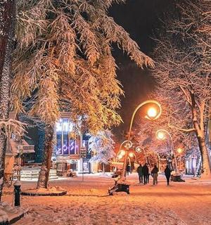 夜晚白雪覆盖的街道上,有人和树