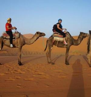 four people riding on camels in the desert