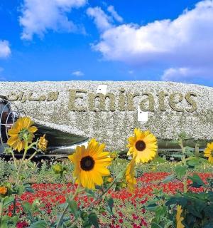 一座前面有鲜花的大楼