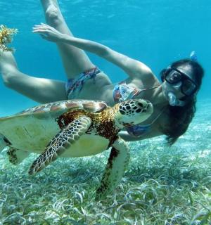 一名男子和一只海龟在水中