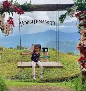 坐在摆满鲜花的秋千上的小女孩