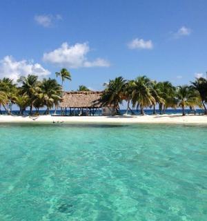 有棕榈树和建筑物的海滩