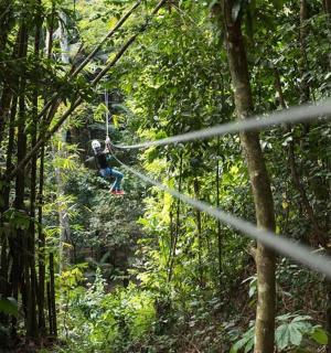 osoba na zip line v džungli