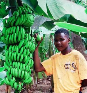 a boy standing next to a bunch of green bananas