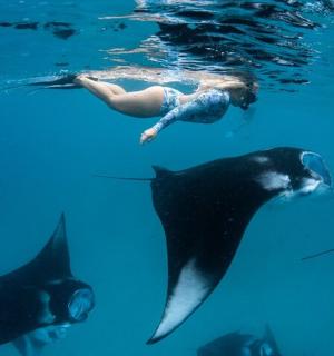 a group of people swimming in the water with animals