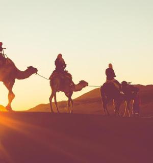 一群人骑着骆驼在沙漠中