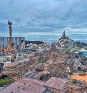a view of a theme park with a roller coaster