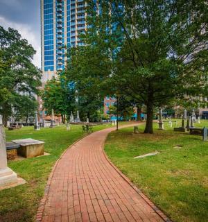 公园里有树木和长椅的砖路