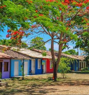 一排色彩缤纷的房子，门前有树