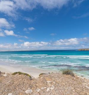 拥有蓝色海水和蓝天白云的海滩