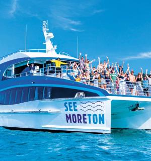 Dolphin & Tangalooma Wrecks Snorkeling Cruise
