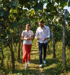 一男一女穿过葡萄园