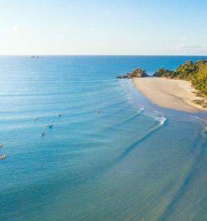 an aerial view of a beach with animals in the water