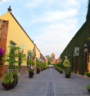 鲜花盛开的老城区鹅卵石街道