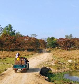 一辆绿色卡车沿着土路行驶