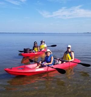 a group of people in kayaks on the water