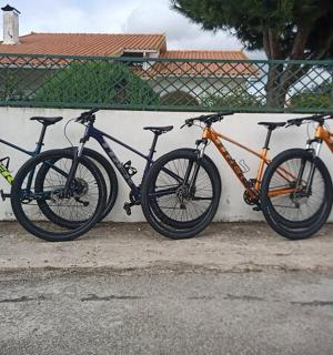 Rent a Bike Full Day from Coimbra