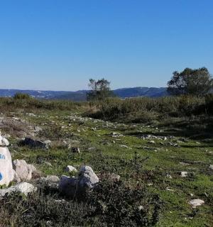 田野里一块刻有标志的岩石